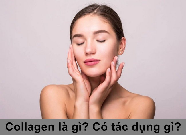 collagen la gi